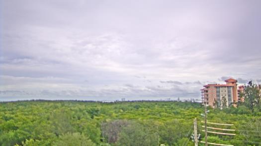 Weather camera view of WTSP-TV.