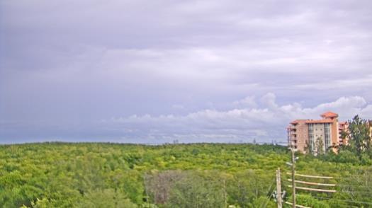 Weather camera view of WTSP-TV.