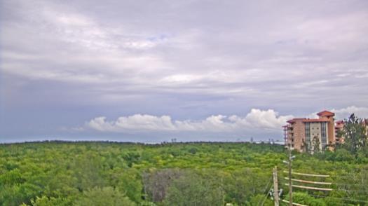 Weather camera view of WTSP-TV.