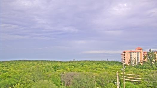 Weather camera view of WTSP-TV.