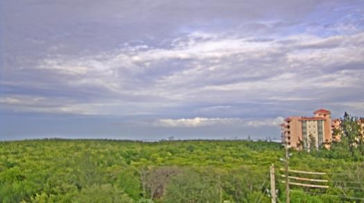 Weather camera view of WTSP-TV.