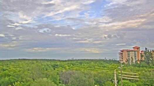 Weather camera view of WTSP-TV.