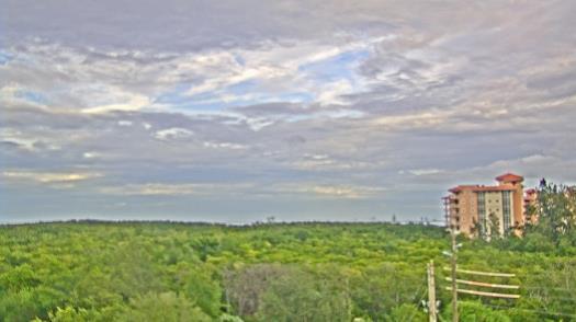 Weather camera view of WTSP-TV.