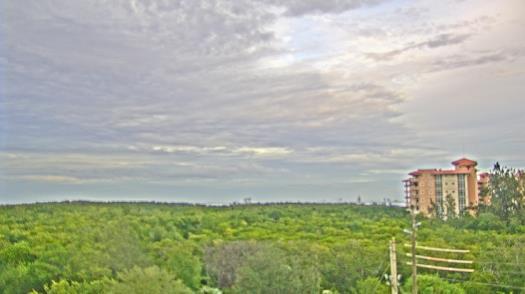 Weather camera view of WTSP-TV.