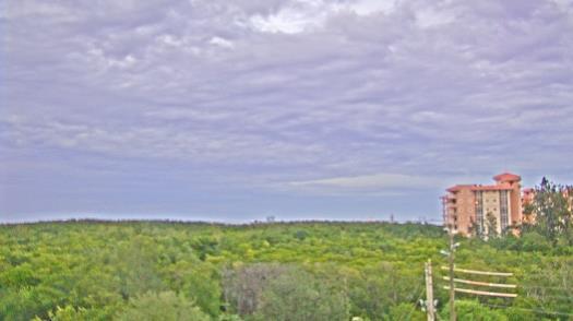 Weather camera view of WTSP-TV.