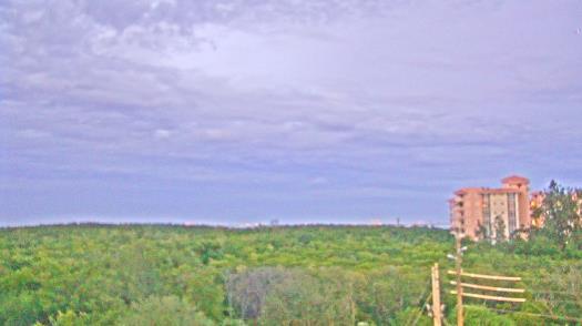 Weather camera view of WTSP-TV.