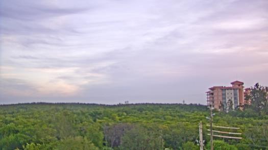 Weather camera view of WTSP-TV.