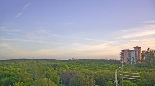 Weather camera view of WTSP-TV.