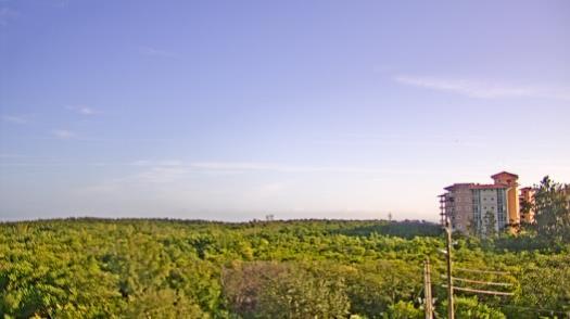 Weather camera view of WTSP-TV.