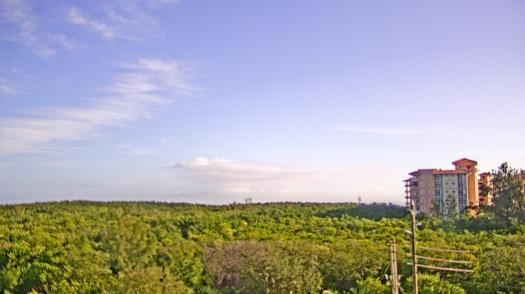 Weather camera view of WTSP-TV.