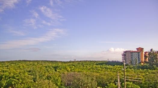 Weather camera view of WTSP-TV.