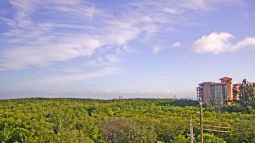 Weather camera view of WTSP-TV.