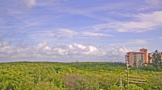 Weather camera view of WTSP-TV.