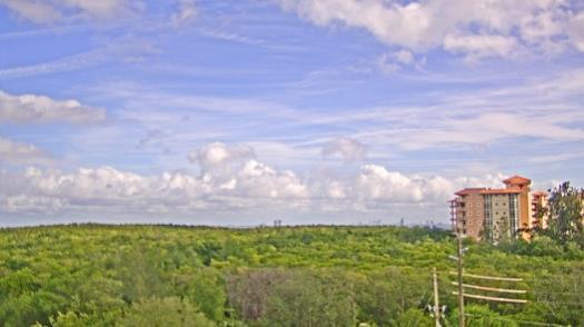 Weather camera view of WTSP-TV.