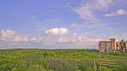 Weather camera view of WTSP-TV.