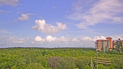 Weather camera view of WTSP-TV.