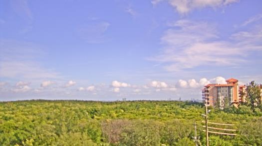 Weather camera view of WTSP-TV.