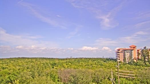 Weather camera view of WTSP-TV.