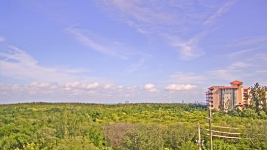 Weather camera view of WTSP-TV.