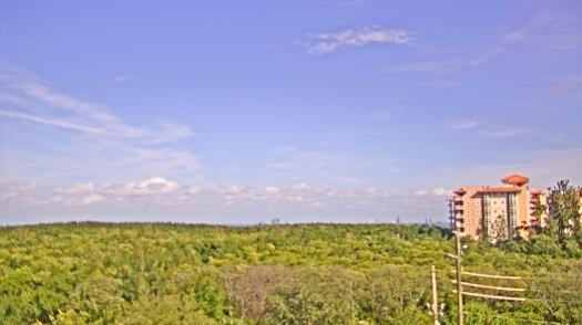 Weather camera view of WTSP-TV.