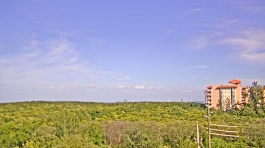 Weather camera view of WTSP-TV.