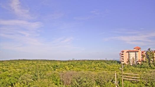 Weather camera view of WTSP-TV.