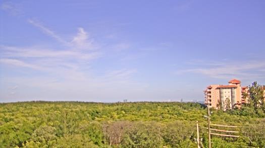 Weather camera view of WTSP-TV.