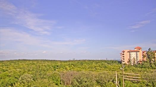 Weather camera view of WTSP-TV.