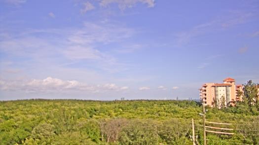 Weather camera view of WTSP-TV.