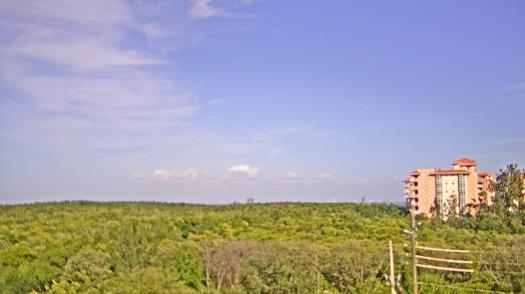 Weather camera view of WTSP-TV.