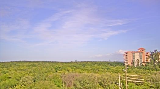 Weather camera view of WTSP-TV.