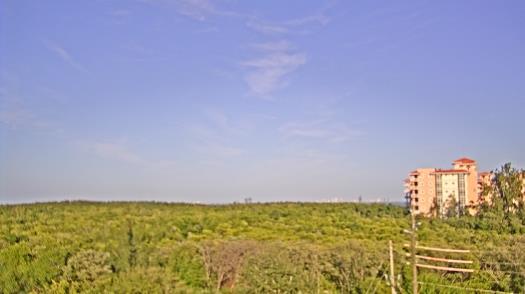 Weather camera view of WTSP-TV.