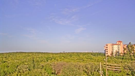 Weather camera view of WTSP-TV.