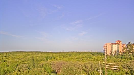 Weather camera view of WTSP-TV.