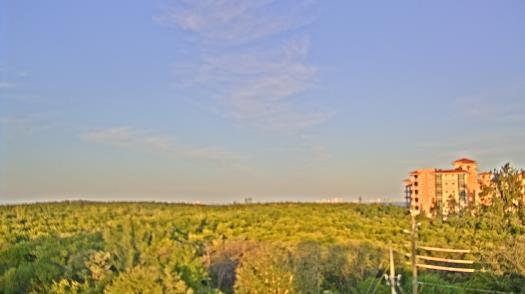 Weather camera view of WTSP-TV.