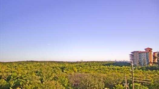 Weather camera view of WTSP-TV.