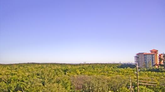 Weather camera view of WTSP-TV.