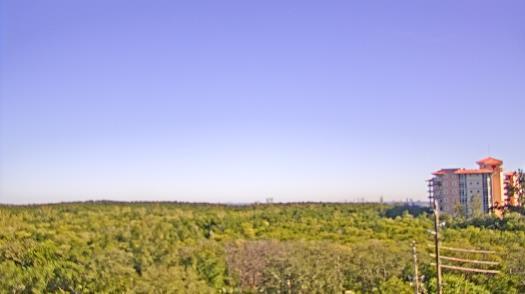 Weather camera view of WTSP-TV.