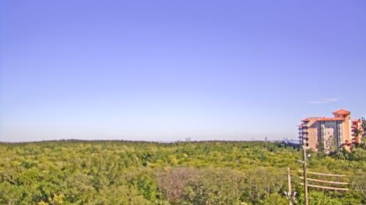 Weather camera view of WTSP-TV.