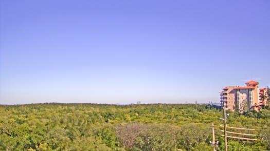 Weather camera view of WTSP-TV.