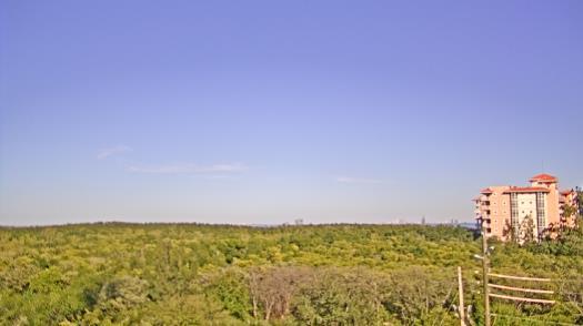 Weather camera view of WTSP-TV.