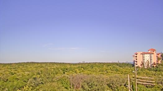 Weather camera view of WTSP-TV.