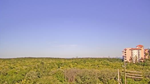 Weather camera view of WTSP-TV.