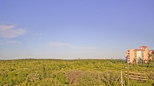 Weather camera view of WTSP-TV.