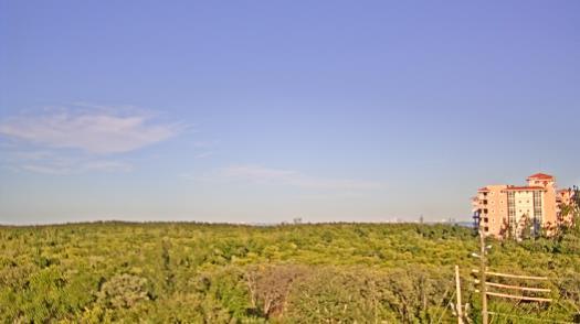 Weather camera view of WTSP-TV.
