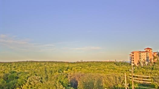 Weather camera view of WTSP-TV.