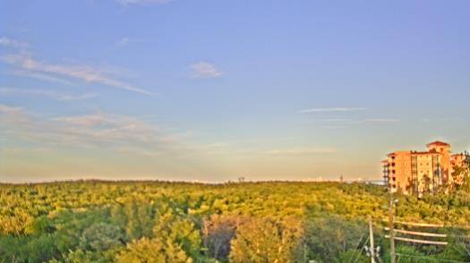 Weather camera view of WTSP-TV.