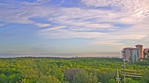 Weather camera view of WTSP-TV.