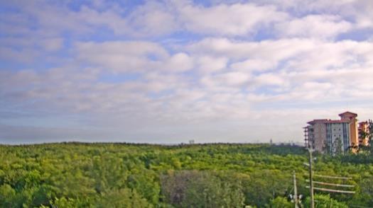 Weather camera view of WTSP-TV.