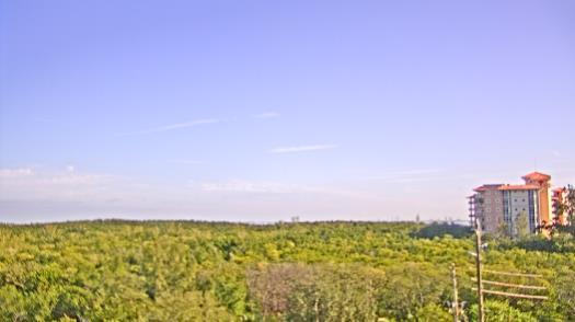 Weather camera view of WTSP-TV.